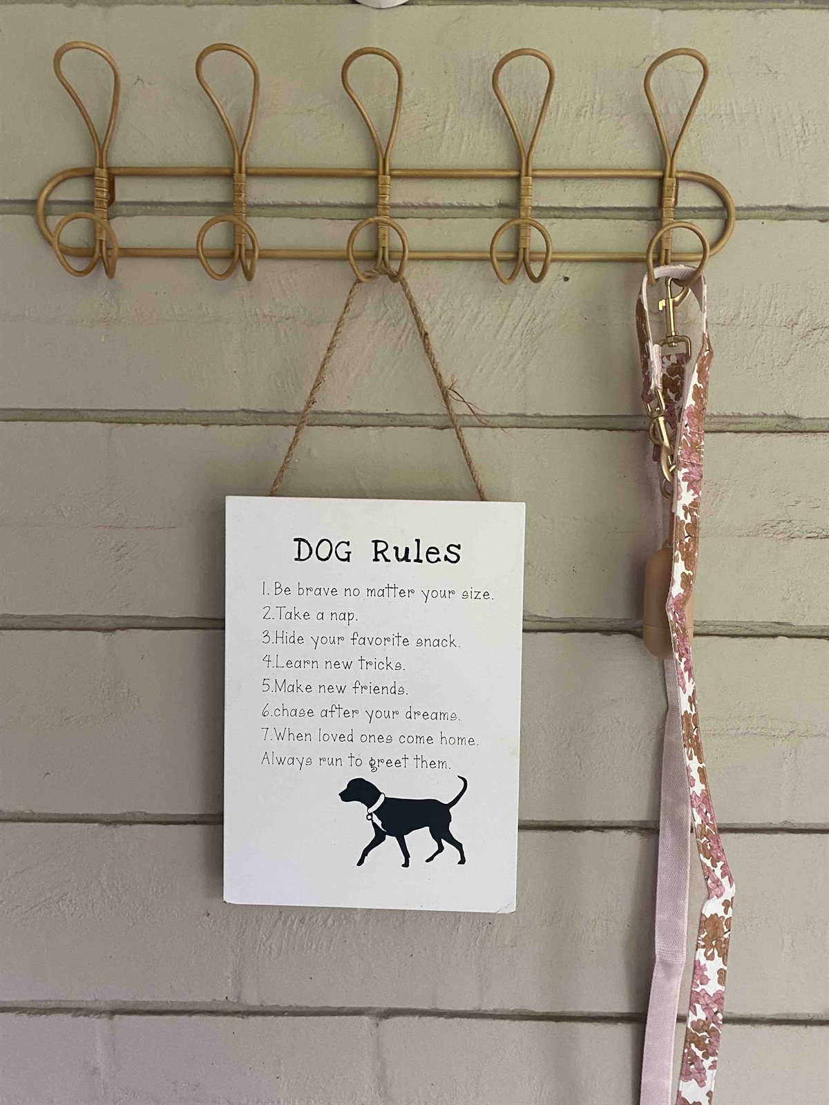 Dogs enjoying doggy day care at Pooch & Paws